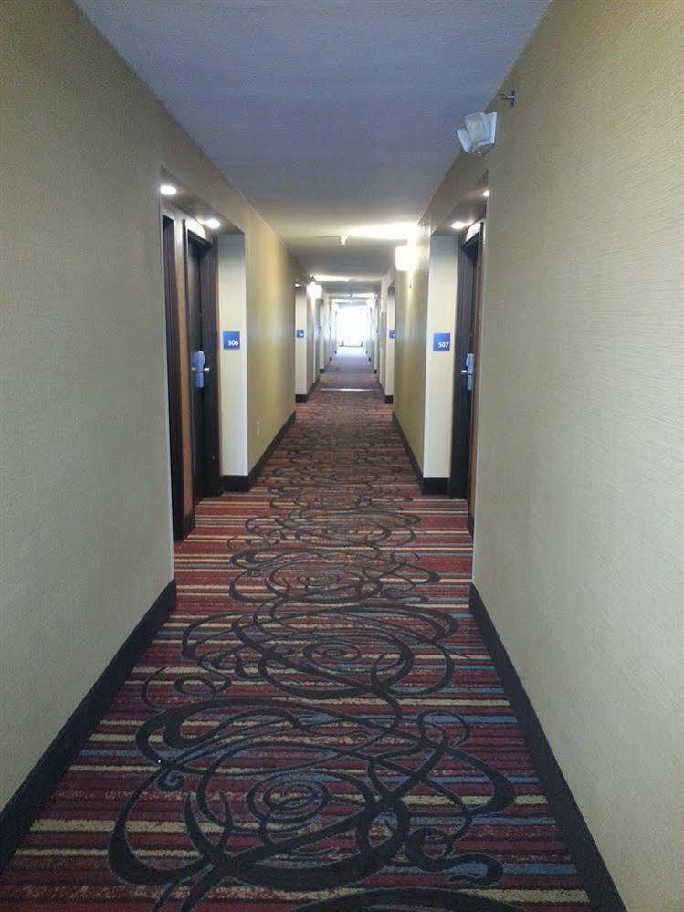 Holiday Inn Express Fredericksburg - Southpoint By Ihg Exterior photo